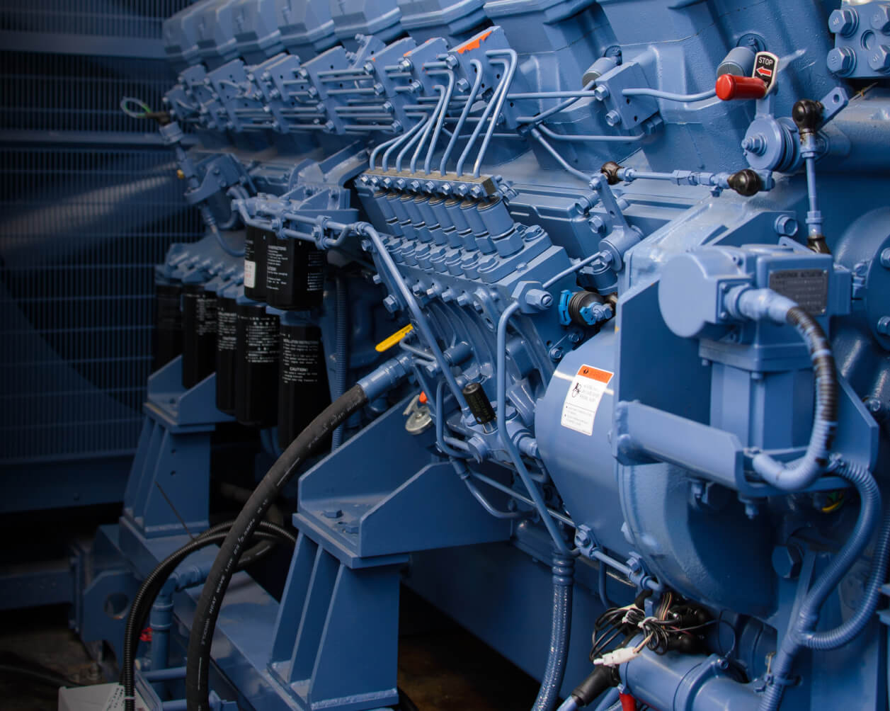 genera.jpeg genera.jpeg