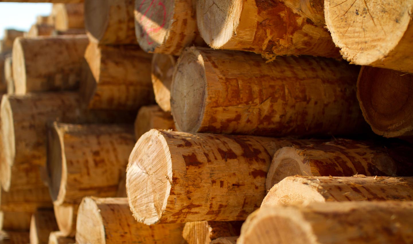 Bochemit vstoupil mezi elitu německého dřevařského průmyslu